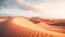 Sand Dunes. Desert Landsape At Sunset