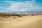 Sand dunes in desert and native plants, mountains and cloudy sky background. Mesquite Sand Dunes in Death Valley, CA