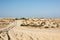 Sand dunes in Donana National Park, Matalascanas,Spain