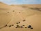 sand dunes with dune buggies