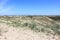 Sand dunes of Egmond aan Zee. The Netherlands.