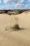 Sand dunes of Europe`s largest desert.