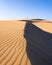 Sand dunes in the evening. Summer landscape in the desert. Hot weather. Lines in the sand.