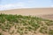 sand dunes . Famous natural park Maspalomas dunes in Gran Canaria at sunset, Canary island, Spain