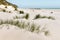 Sand dunes at Farewell Spit beach in New Zealand