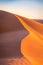Sand dunes in the golden desert of Al Wasil, central Oman.