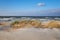 Sand dunes with grass and shrubs protecting beach from the storms in Hiddensee island in Germany