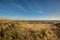 In the sand dunes at Great Yarmouth beach on the Norfolk coast