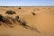 Sand dunes, Hamada du Draa, Morocco.