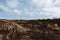 Sand dunes on the island of Amrum in spring