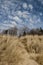 Sand dunes of lake michigan 2