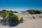 Sand Dunes Look Over Pacific Ocean