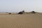Sand dunes of the Maspalomas desert.