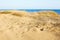 Sand Dunes at the Mediterranean sea.
