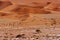 Sand dunes of Namib desert, near Sossusvlei, Namibia