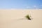 Sand Dunes in National Park Corralejo, Fuerteventura