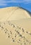 Sand dunes near Stovepipe Wells, Death Valley