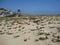 Sand dunes in Newport beach, California