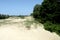 Sand dunes and oaks in Donau Delta