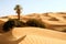 Sand dunes with one palm â€“ Awbari, Libya