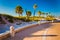 Sand dunes and palm trees along a path in Clearwater Beach, Florida.