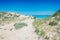 Sand dunes with plants by the sea in a protected natural area in El Saler, Valencia