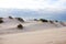 Sand dunes in Portuguese atlantic coast