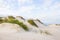 Sand dunes in Portuguese atlantic coast