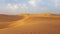 The sand dunes of the Sahara