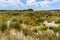 The Sand Dunes of Sao Martinho do Porto, Alcobaca, Portugal