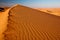 Sand dunes scene. Sand waves scene. Hot desert scene.