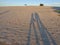 Sand dunes and shadows on the beach of the City of Jose Ignacio, Uruguay