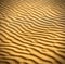 Sand and dunes of the Thar Desert.