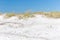 Sand Dunes at Topsail Beach, North Carolina