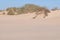 Sand dunes with trees against the sky in summer.