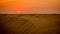 Sand dunes in United Arab Emirates,Abu Dhabi,Dubai,Middle East