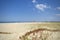 Sand dunes and vegetation with Sunshine Coast background