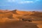 Sand dunes in the Western Sahara with dromedaries