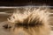 sand explosion creating ripple effect on water surface