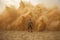 sand explosion with person in the middle being protected by sandstorm