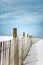 Sand Fence in the Dunes at the Beach