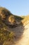 Sand Fence on Normandy Dune