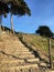 The Sand Ladder at Baker Beach, 7.