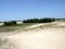 Sand lanscape in Danube Delta, Tulcea, Romania