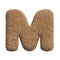 Sand letter M - Capital 3d beach font - Holidays, travel or ocean concepts