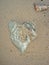 On the sand lies a stone in the shape of the heart