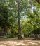 Sand made road in a crocodile park of Chennai