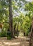 Sand made road in a crocodile park of Chennai