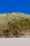 Sand, Marram Grass and Blue Sky