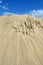 Sand mound